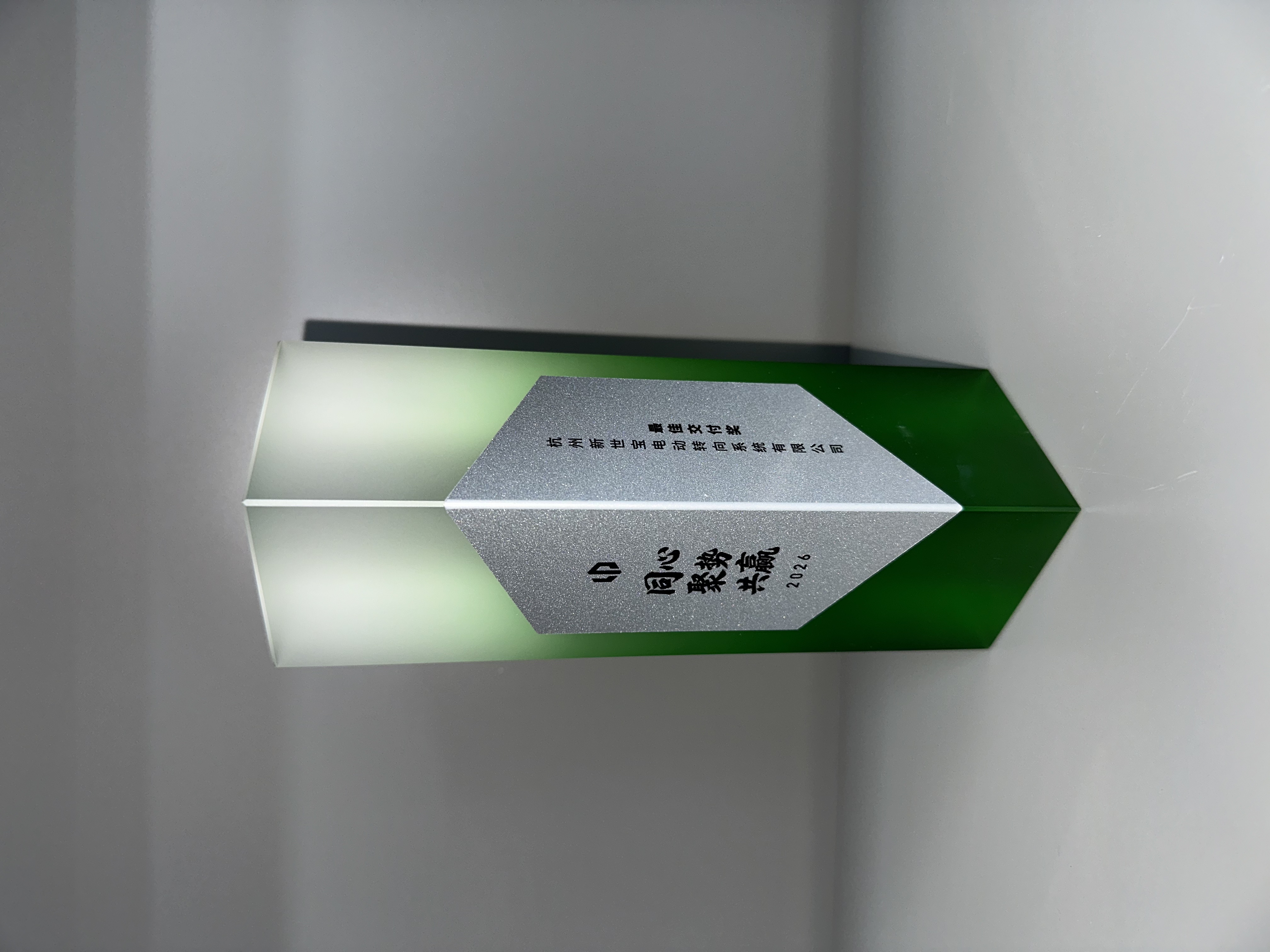 零跑最佳交付奖